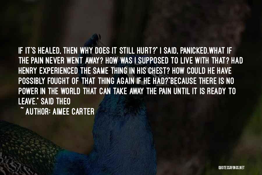 I Never Hurt Quotes By Aimee Carter