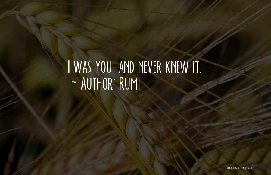 I Never Knew How Much I Love You Quotes By Rumi