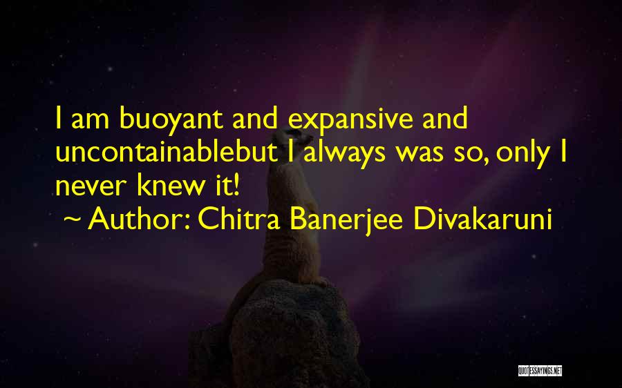 I Never Knew Quotes By Chitra Banerjee Divakaruni