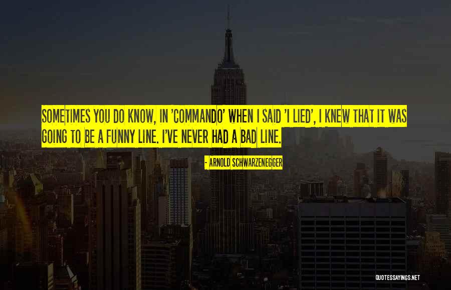 I Never Lied Quotes By Arnold Schwarzenegger I Never Lied Quotes By Arnold Schwarzenegger