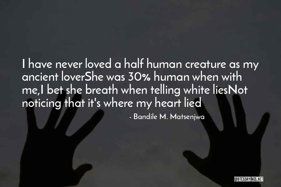 I Never Lied Quotes By Bandile M. Matsenjwa I Never Lied Quotes By Bandile M. Matsenjwa
