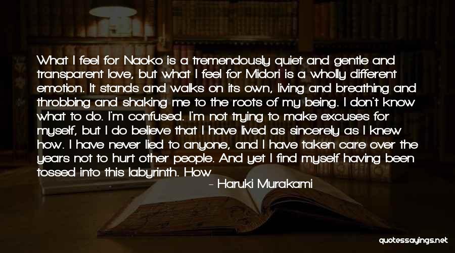 I Never Lied Quotes By Haruki Murakami I Never Lied Quotes By Haruki Murakami