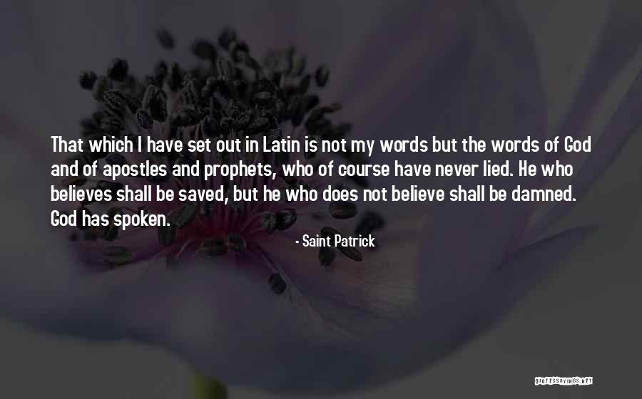 I Never Lied Quotes By Saint Patrick I Never Lied Quotes By Saint Patrick