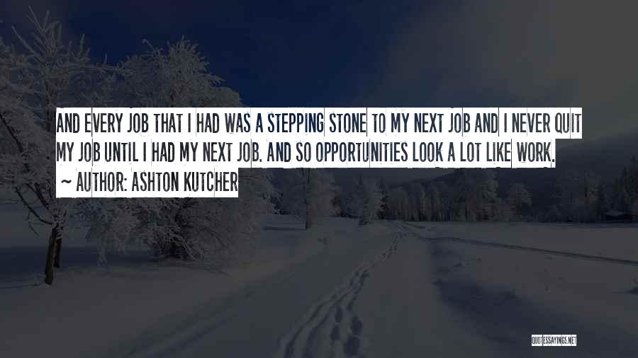 I Never Quit Quotes By Ashton Kutcher