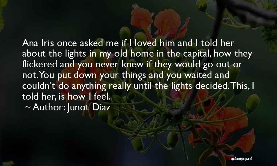 I Never Really Loved You Quotes By Junot Diaz