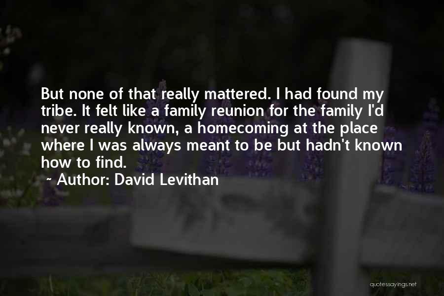 I Never Really Mattered Quotes By David Levithan