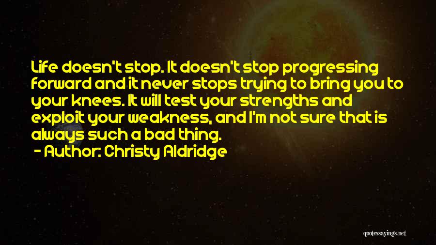 I Never Stop Quotes By Christy Aldridge