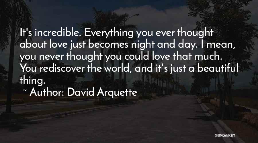 I Never Thought That I Could Love Quotes By David Arquette