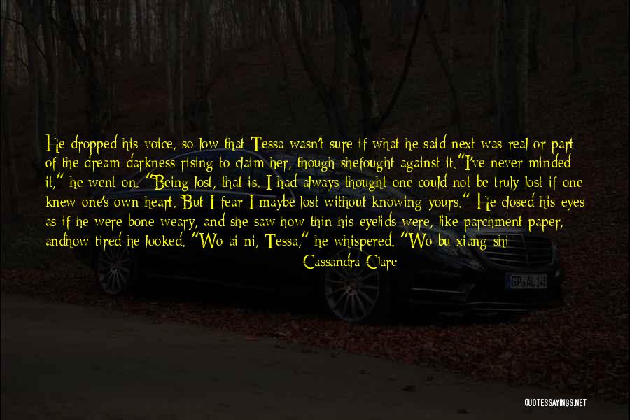 I Never Thought That I Could Love You Quotes By Cassandra Clare