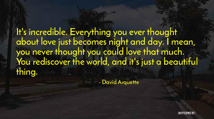 I Never Thought That I Could Love You Quotes By David Arquette