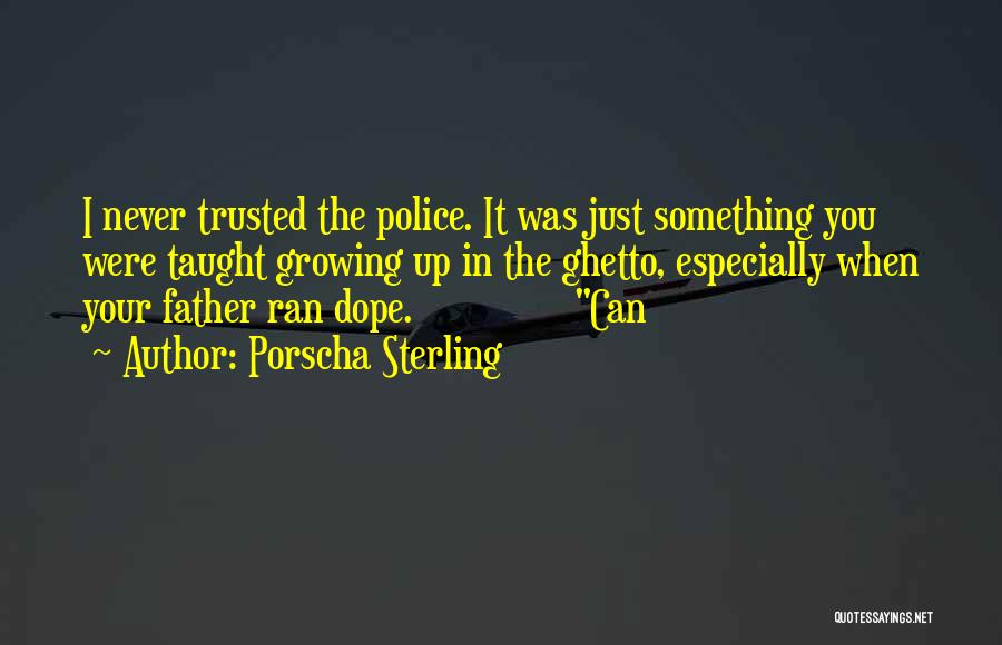 I Never Trusted You Quotes By Porscha Sterling