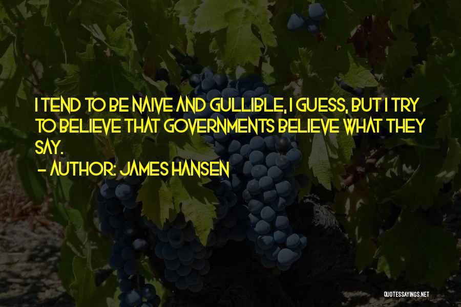 I Not Gullible Quotes By James Hansen