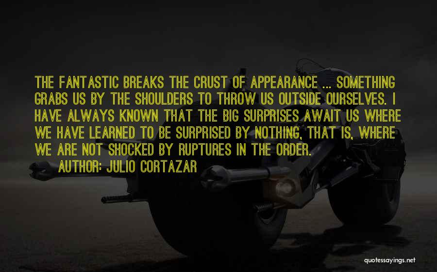 I Not Surprised Quotes By Julio Cortazar