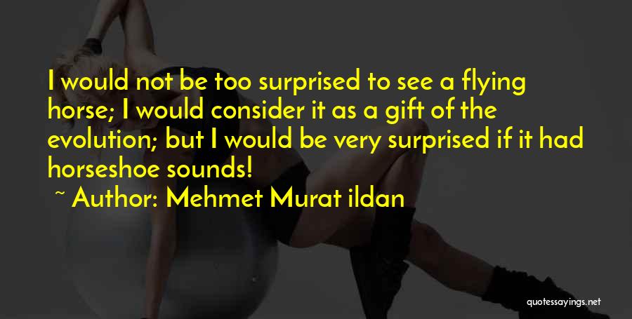 I Not Surprised Quotes By Mehmet Murat Ildan