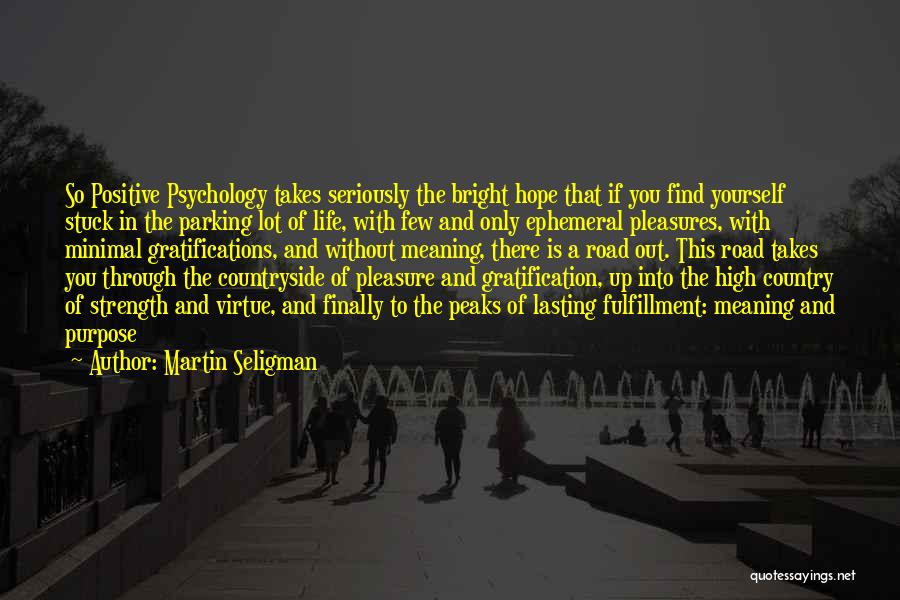 I O Psychology Quotes By Martin Seligman