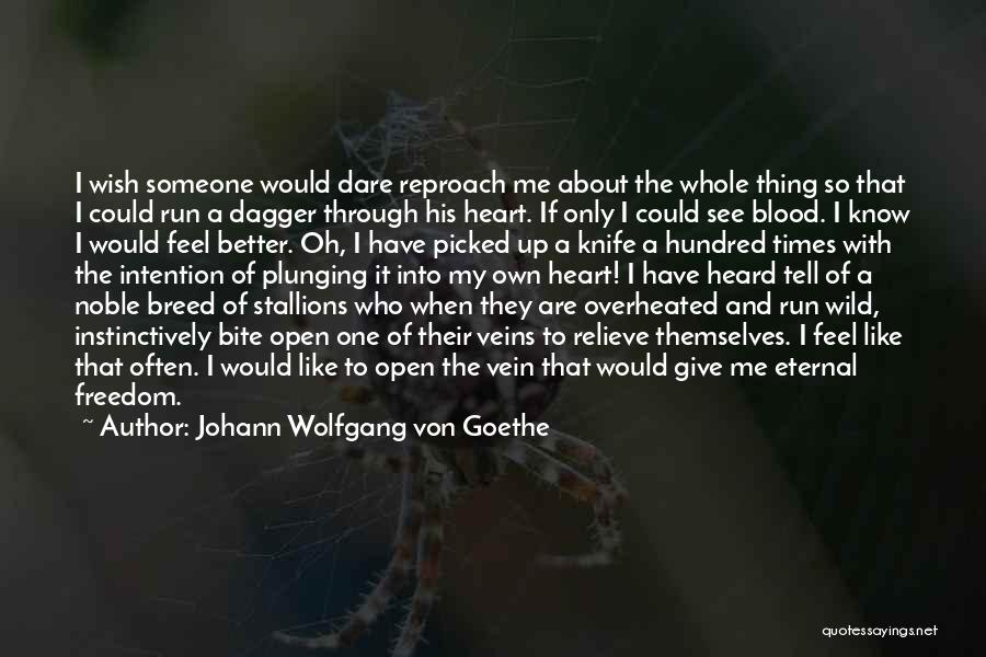I Only Have One Wish Quotes By Johann Wolfgang Von Goethe