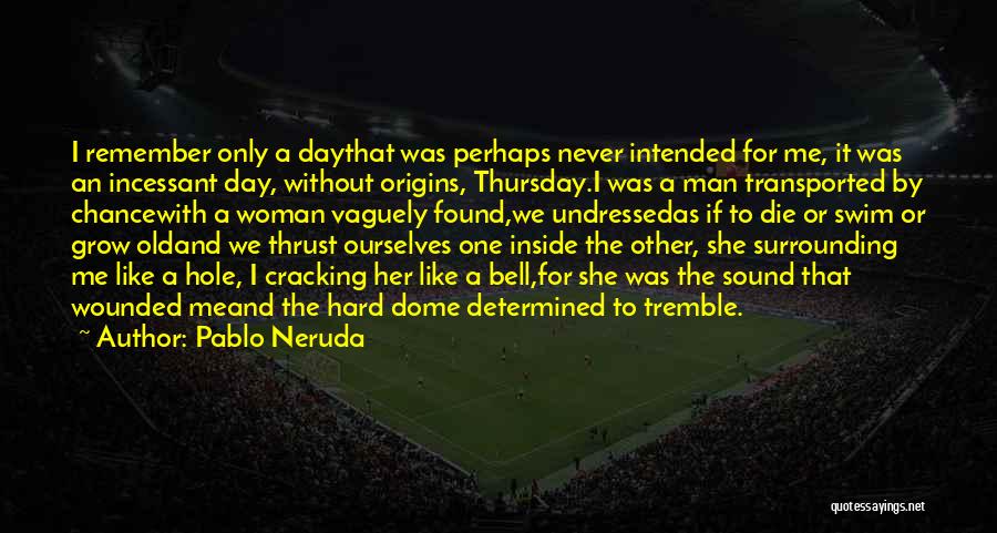 I Origins Quotes By Pablo Neruda