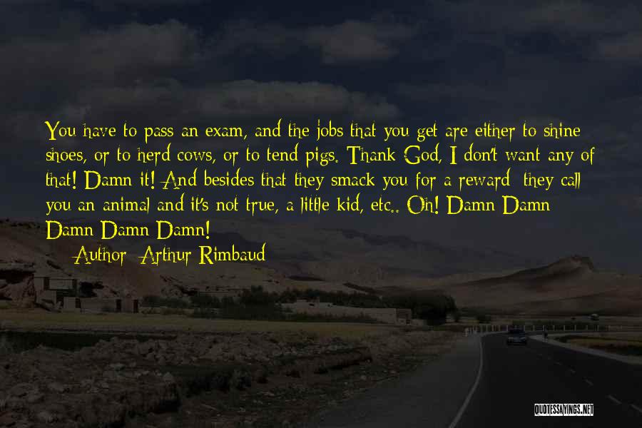 I Pass The Exam Quotes By Arthur Rimbaud