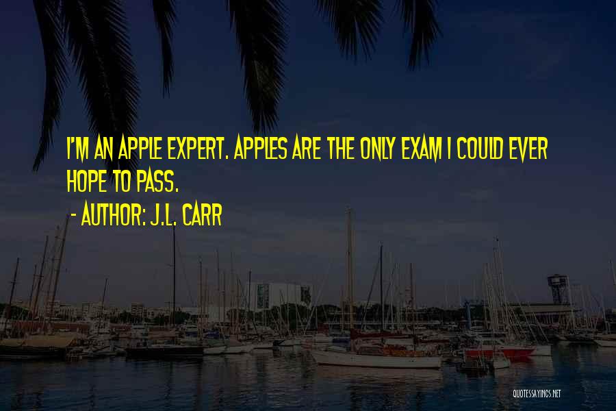 I Pass The Exam Quotes By J.L. Carr