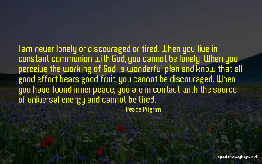 I Perceive That God Quotes By Peace Pilgrim I Perceive That God Quotes By Peace Pilgrim