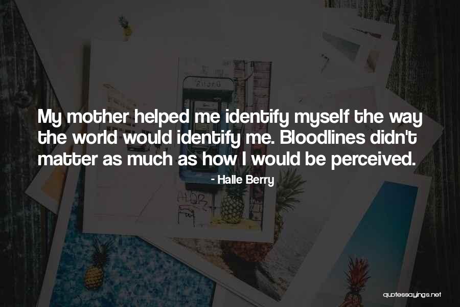 I Perceived Quotes By Halle Berry I Perceived Quotes By Halle Berry