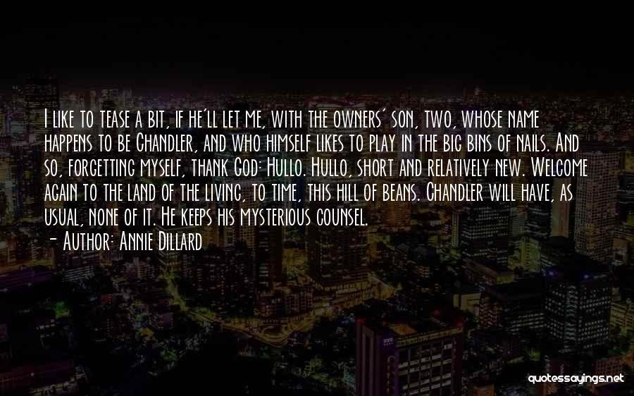 I Play For Keeps Quotes By Annie Dillard