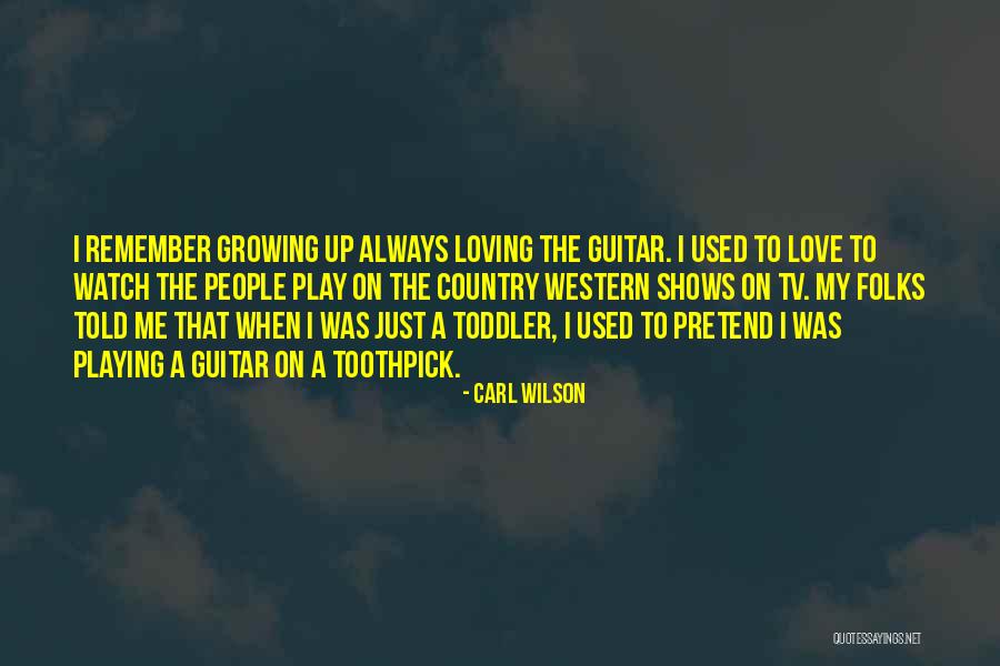 I Play Guitar Quotes By Carl Wilson