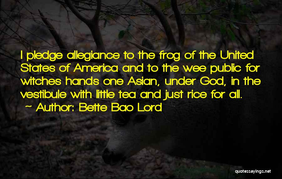 I Pledge Allegiance Quotes By Bette Bao Lord