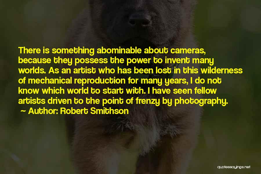 I Possess Quotes By Robert Smithson