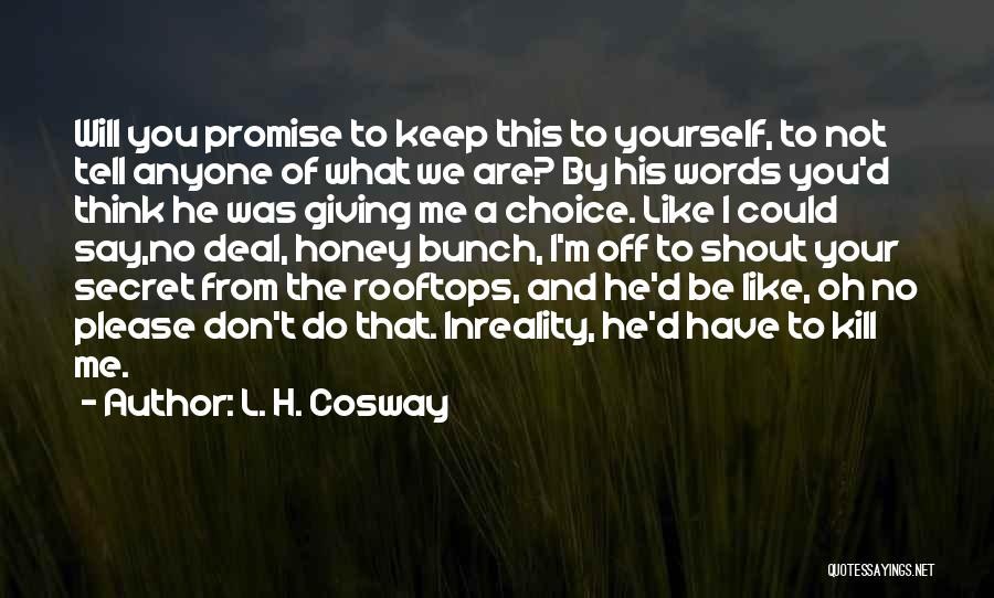 I Promise Funny Quotes By L. H. Cosway