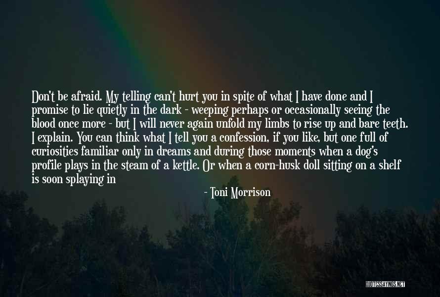 I Promise I Will Never Hurt You Quotes By Toni Morrison I Promise I Will Never Hurt You Quotes By Toni Morrison