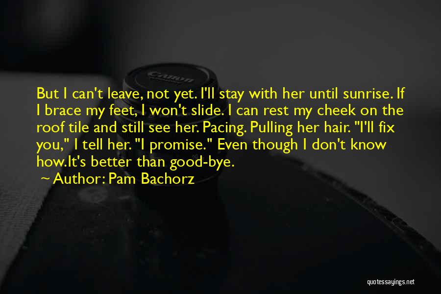 I Promise I Won't Leave You Quotes By Pam Bachorz