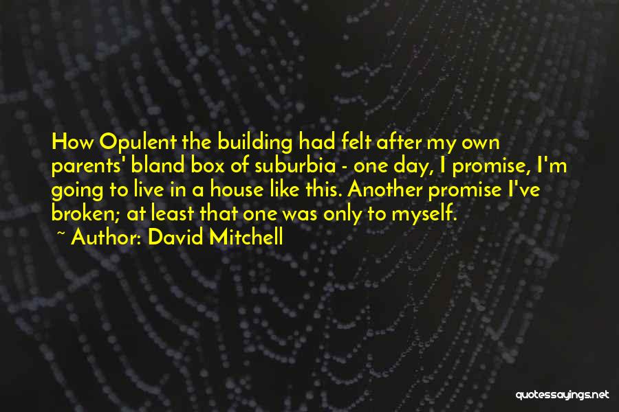 I Promise Myself Quotes By David Mitchell