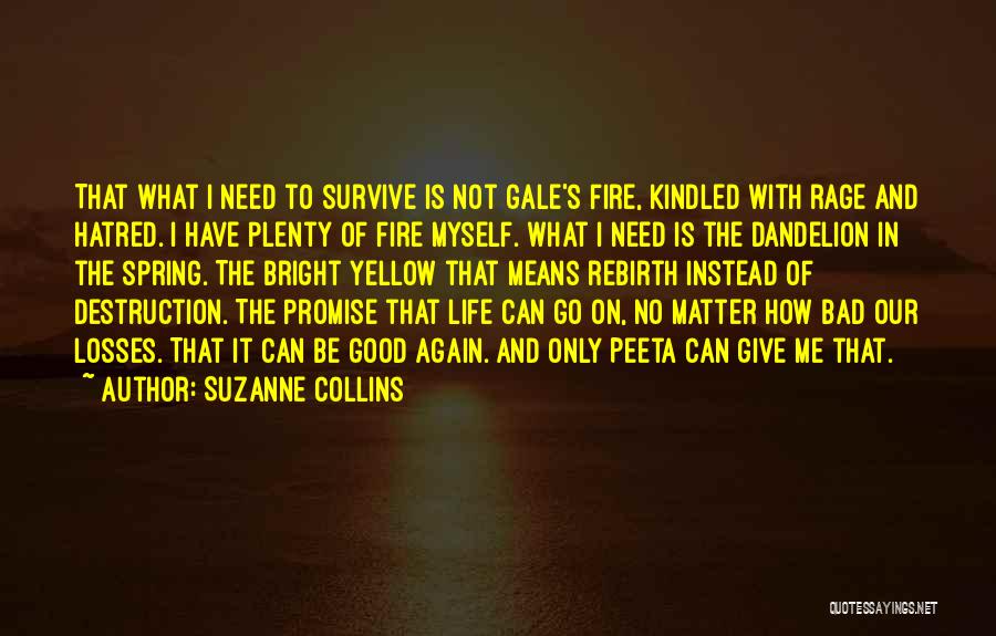 I Promise Myself Quotes By Suzanne Collins