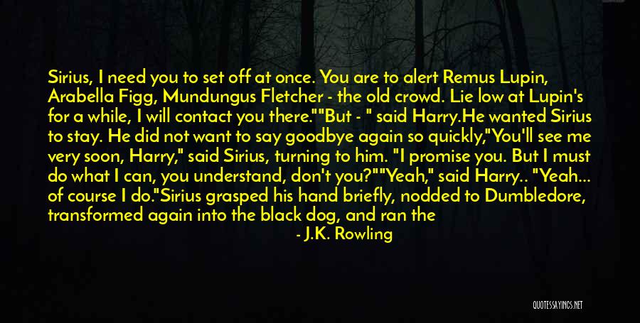 I Promise To Stay With You Quotes By J.K. Rowling