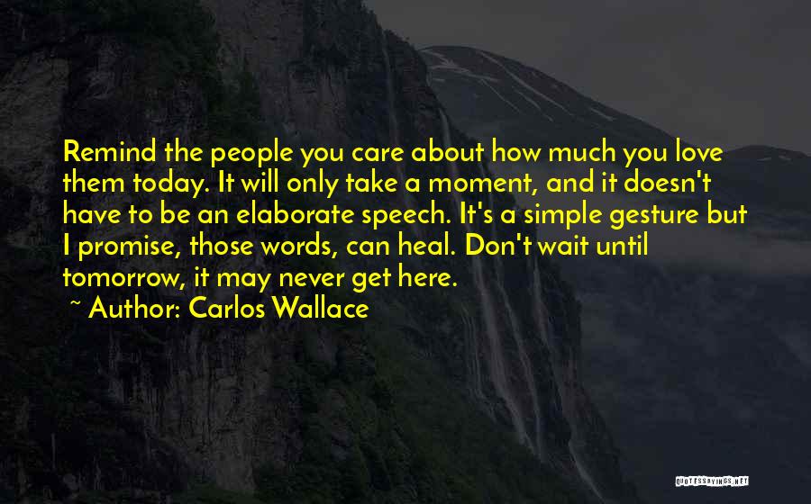 I Promise To Wait For You Quotes By Carlos Wallace