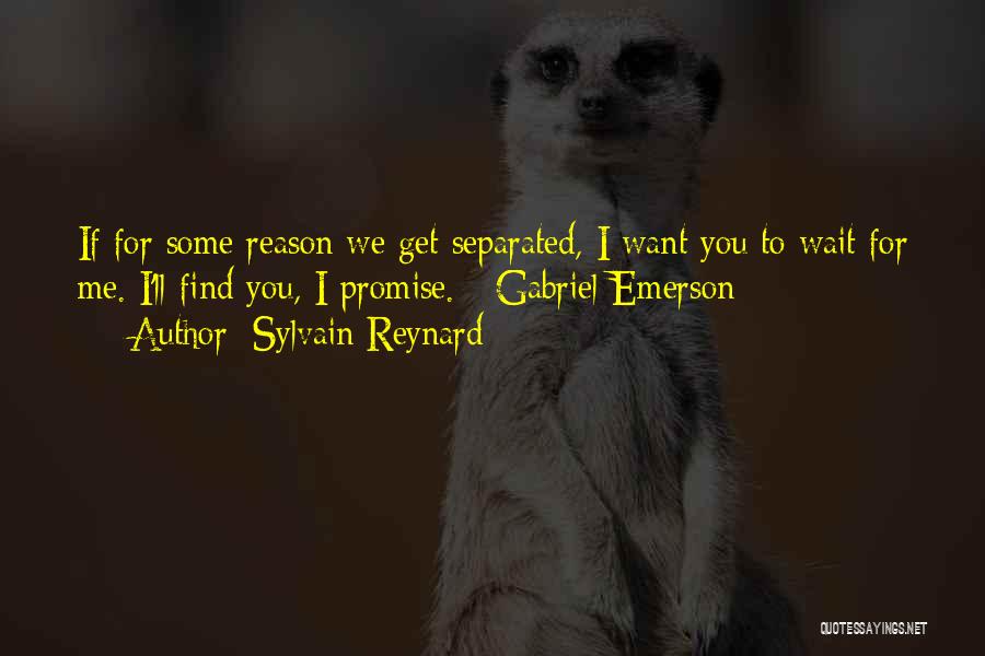 I Promise To Wait For You Quotes By Sylvain Reynard