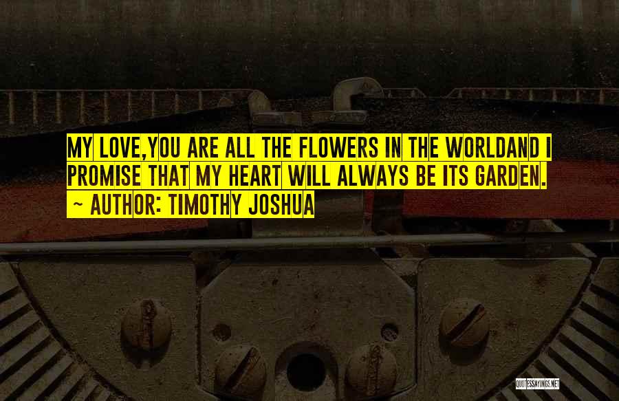 I Promise You My Love Quotes By Timothy Joshua