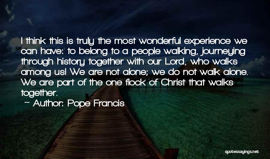 I Rather Walk Alone Quotes By Pope Francis