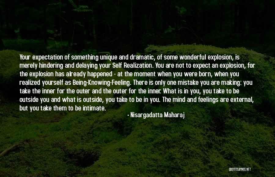 I Realized My Mistake Quotes By Nisargadatta Maharaj I Realized My Mistake Quotes By Nisargadatta Maharaj
