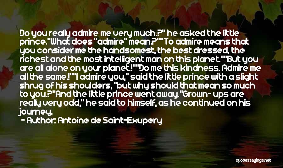 I Really Admire You Quotes By Antoine De Saint-Exupery