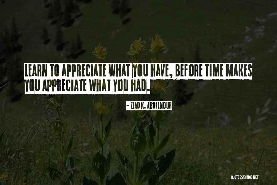 I Really Appreciate Your Time Quotes By Ziad K. Abdelnour