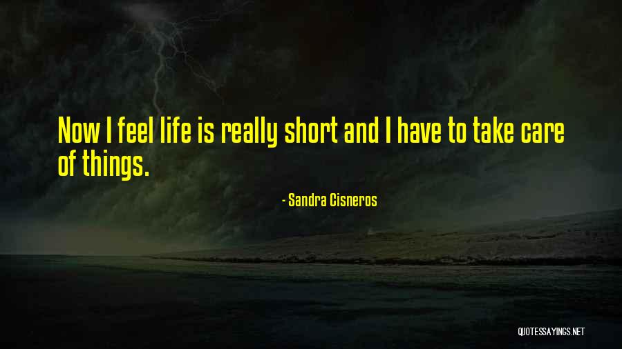 I Really Care Quotes By Sandra Cisneros I Really Care Quotes By Sandra Cisneros