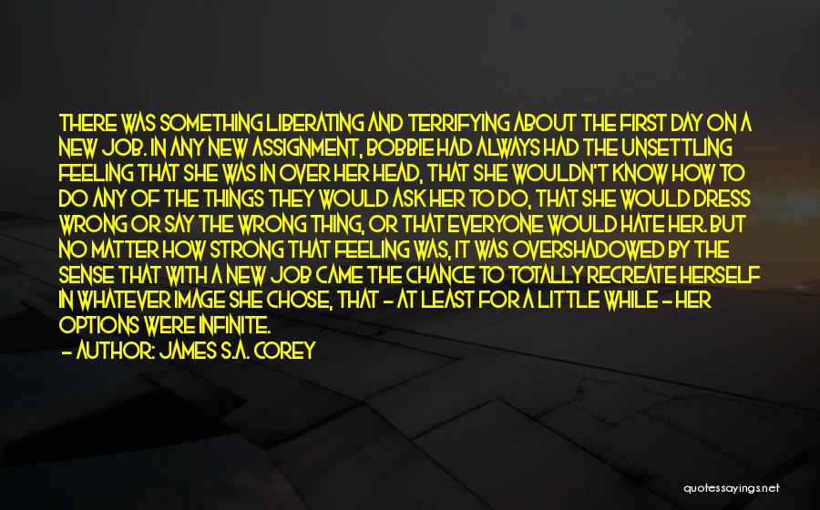 I Really Hate My Job Quotes By James S.A. Corey