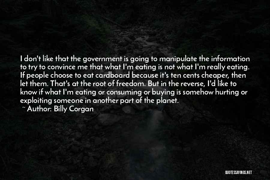 I Really Like Someone Quotes By Billy Corgan