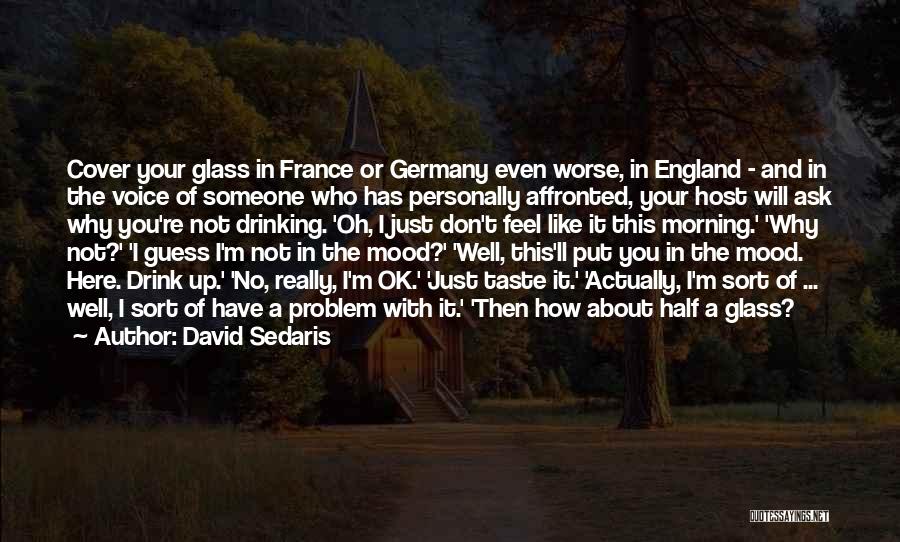 I Really Like Someone Quotes By David Sedaris