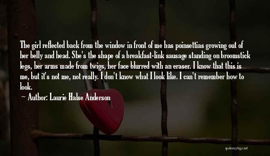 I Really Like This Girl Quotes By Laurie Halse Anderson