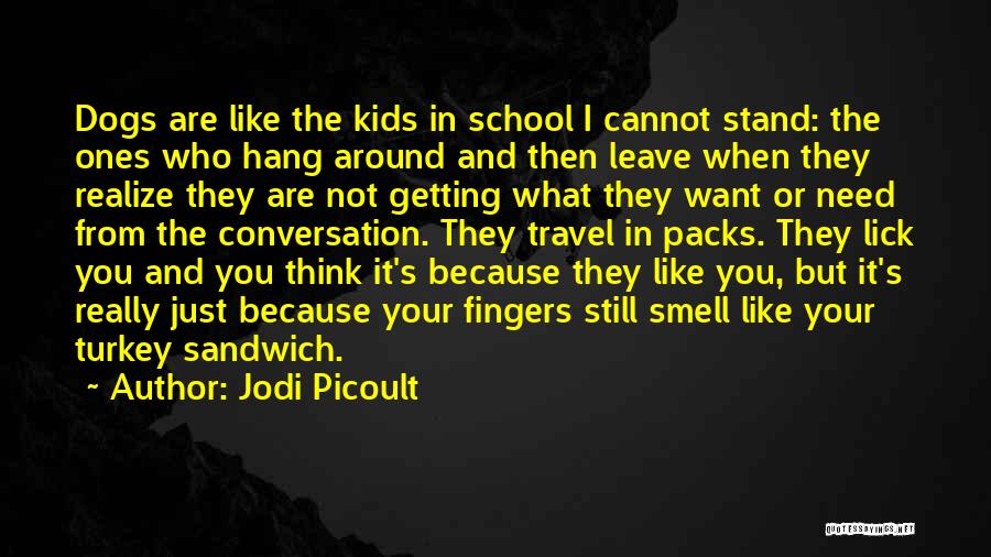 I Really Like You But Quotes By Jodi Picoult