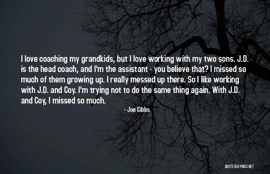 I Really Love You So Much Quotes By Joe Gibbs I Really Love You So Much Quotes By Joe Gibbs