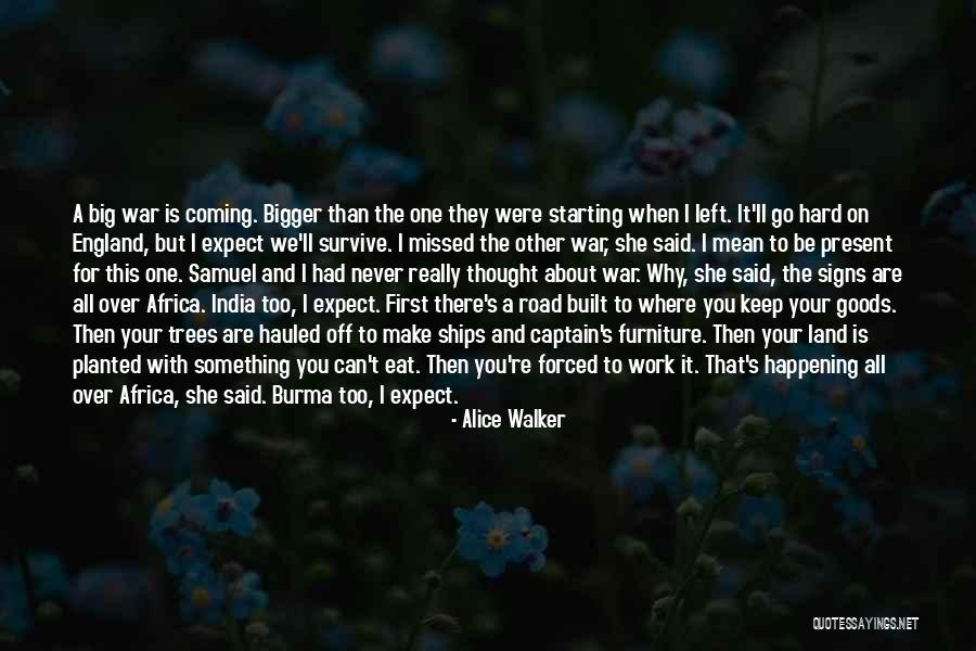 I Really Thought You Were The One Quotes By Alice Walker I Really Thought You Were The One Quotes By Alice Walker